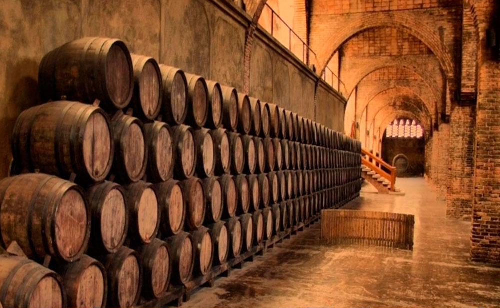 barricas de vino con solera